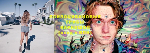 ГАЛЛЮЦИНОГЕННЫЕ ГРИБЫ Арсеньев