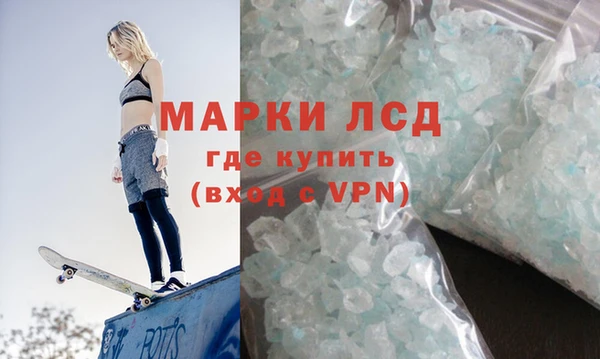 ГАЛЛЮЦИНОГЕННЫЕ ГРИБЫ Арсеньев