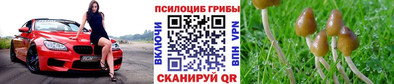 Галлюциногенные грибы ЛСД  Грязовец 